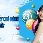 Mơ thấy chó